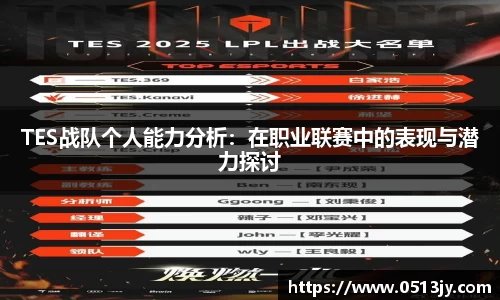 TES战队个人能力分析：在职业联赛中的表现与潜力探讨