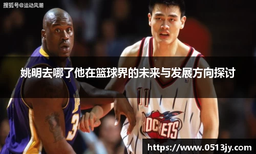 姚明去哪了他在篮球界的未来与发展方向探讨